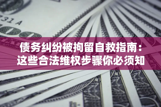 武汉债务纠纷被拘留自救指南：这些合法维权步骤你必须知道！