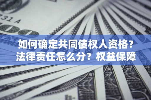 武汉如何确定共同债权人资格？法律责任怎么分？权益保障技巧揭秘！