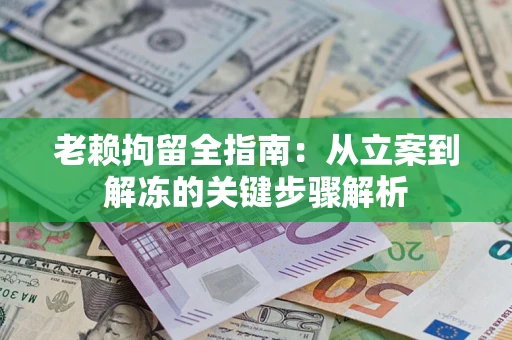 武汉老赖拘留全指南：从立案到解冻的关键步骤解析