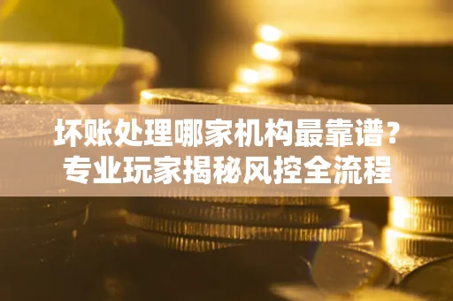 武汉坏账处理哪家机构最靠谱？专业玩家揭秘风控全流程