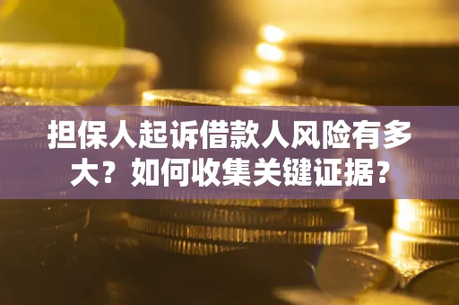 武汉担保人起诉借款人风险有多大？如何收集关键证据？