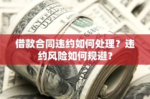 武汉借款合同违约如何处理？违约风险如何规避？