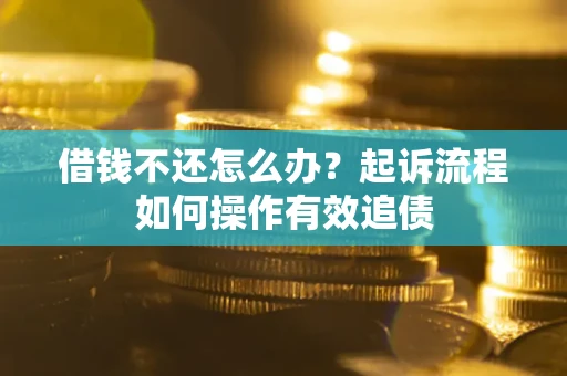 武汉借钱不还怎么办？起诉流程如何操作有效追债