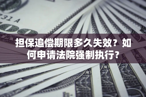 武汉担保追偿期限多久失效？如何申请法院强制执行？