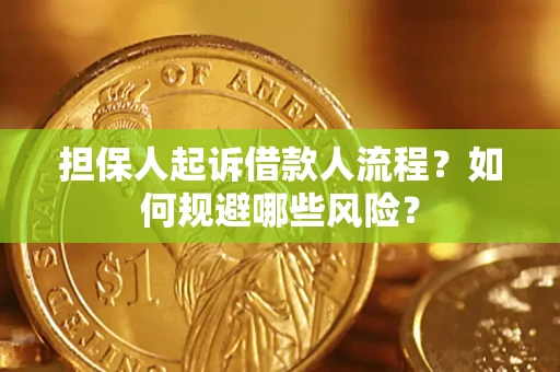 武汉担保人起诉借款人流程？如何规避哪些风险？