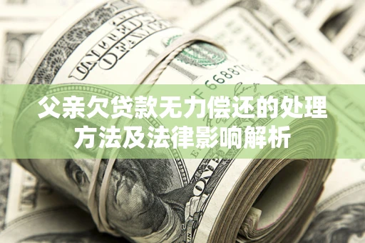 武汉父亲欠贷款无力偿还的处理方法及法律影响解析