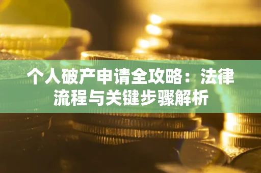 武汉个人破产申请全攻略：法律流程与关键步骤解析