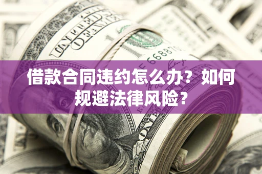 武汉借款合同违约怎么办？如何规避法律风险？